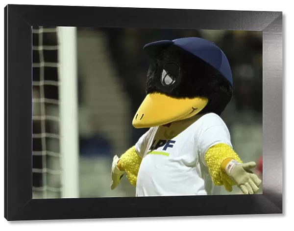 Deepdale Duck Poses For Fans