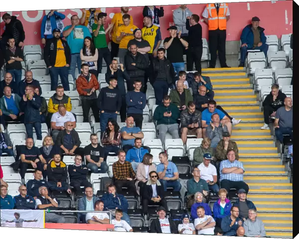IR, Swansea City v PNE, Fans (5)