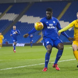 Battle of the Championship: Cardiff City vs. Preston North End, December 2017