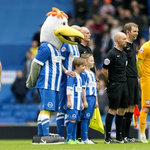 2015/16 Season Collection: Brighton & Hove Albion v PNE, Saturday 24th October 2015, SkyBet Championship