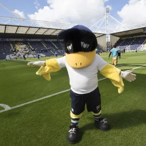 Deepdale Duck Pitchside