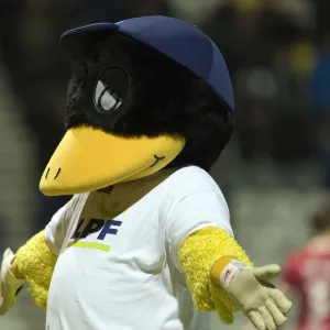 Deepdale Duck Poses For Fans