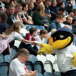 Collections: Deepdale Duck