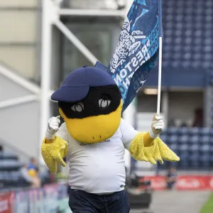 The Deepdale Duck Waving The PNE Crest